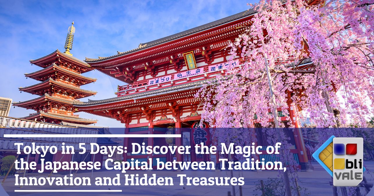 blivale_image_en_Tokyo in 5 Days Discover the Magic of the Japanese Capital_643x337 Tokyo in 5 Days: Discover the Magic of the Japanese Capital between Tradition, Innovation and Hidden Treasures